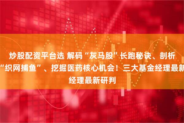 炒股配资平台选 解码“灰马股”长跑秘诀、剖析量化“织网捕鱼”、挖掘医药核心机会！三大基金经理最新研判