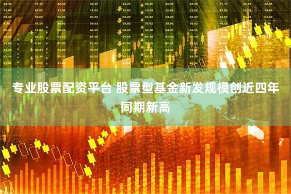专业股票配资平台 股票型基金新发规模创近四年同期新高