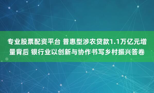专业股票配资平台 普惠型涉农贷款1.1万亿元增量背后 银行业以创新与协作书写乡村振兴答卷